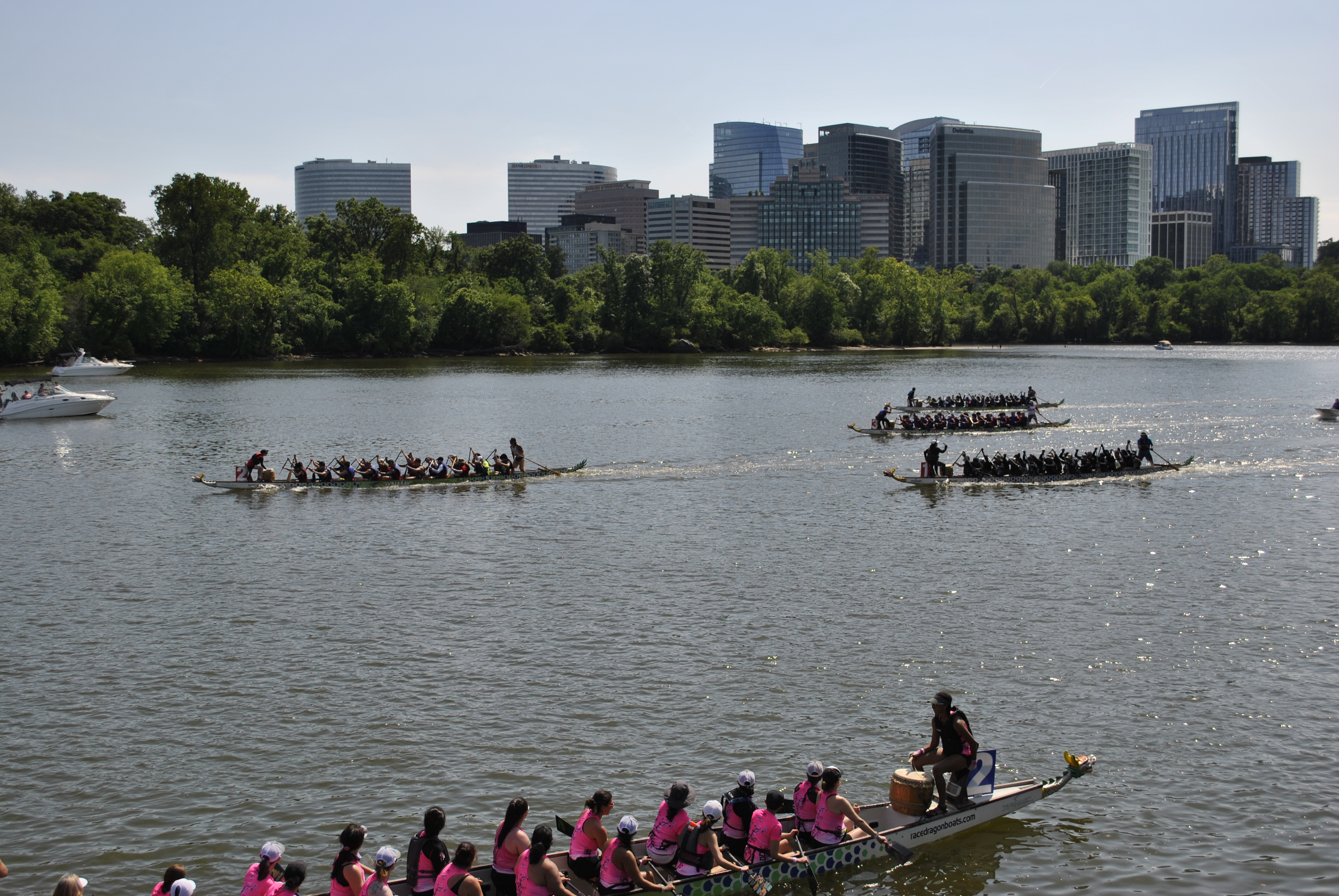 DC Dragon Boat Festival at Georgetown Waterfront Park
